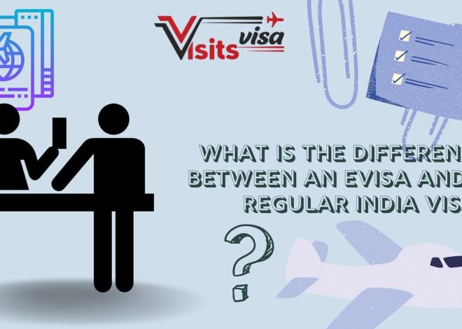 WHAT IS REFERENCE NAME ON INDIAN VISA?