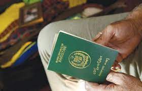 Saudi Visa for Japanese Citizens to Obtaining a Guide