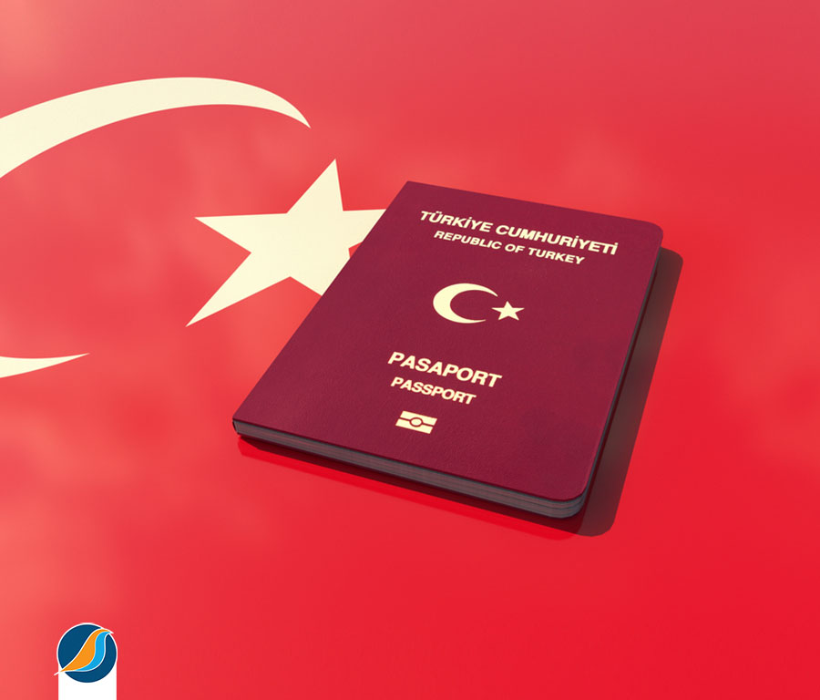 How to Navigate the Turkey Visa Application Process