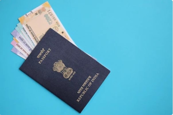 Indian Visa from France: Your Ultimate Guide