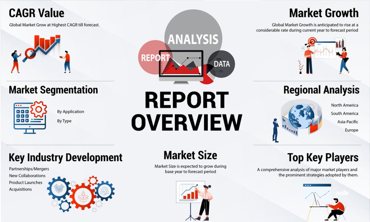 Treasury Software Market: A Comprehensive Overview of Growth and Trends