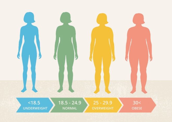 How to Effectively Use a Body Mass Index Calculator for Your Health Goals?